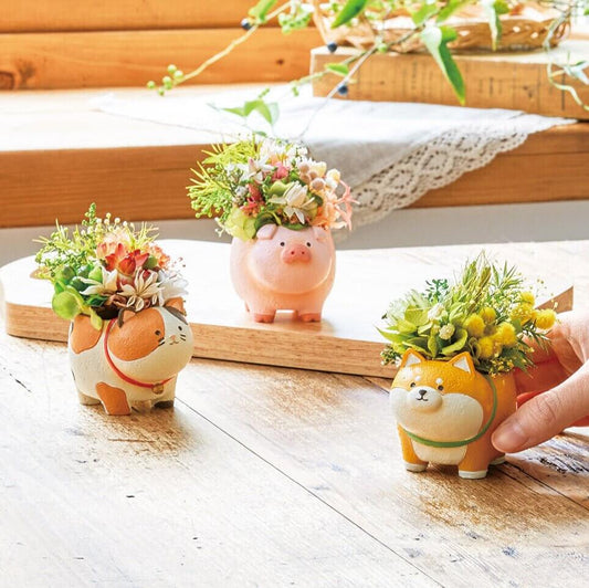 可愛動物的多肉植物,來自【肉肉動物園】站得穩系列盲盒單品,療癒又穩固的桌面擺設。