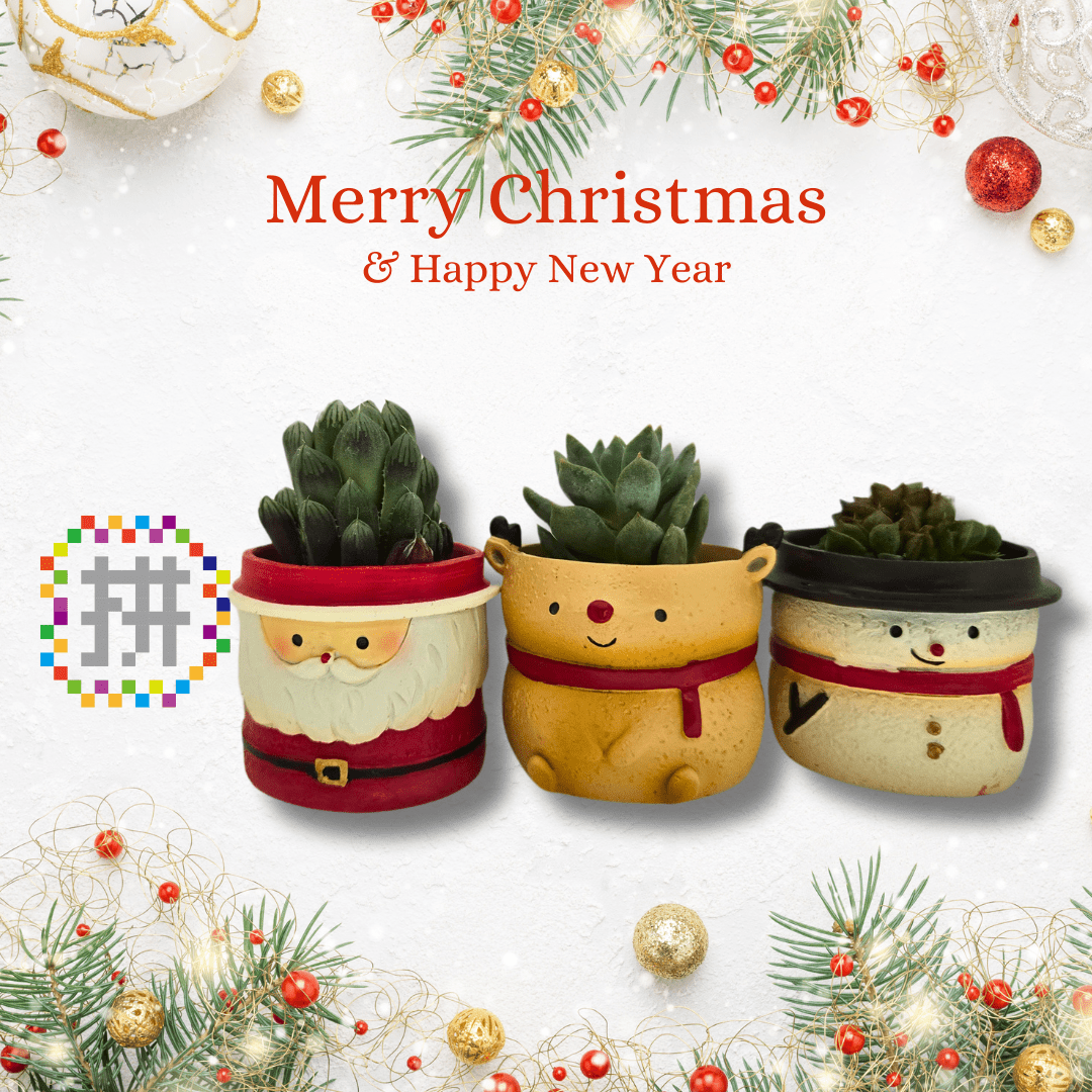 【拼肉肉聖誕限定】聖誕夢幻隊！聖誕老人、麋鹿、雪人三件套 (搭配多肉盲盒) - 拼肉肉 Puzzle Of Succulent