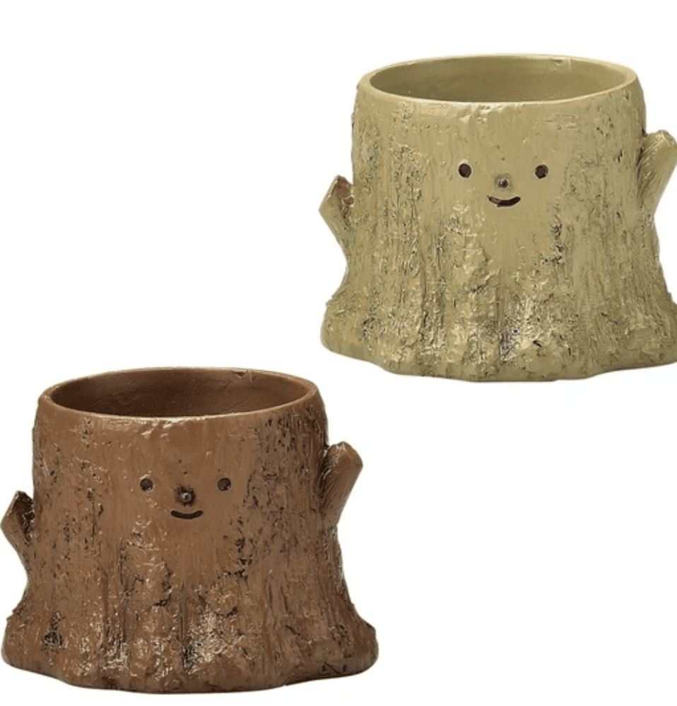 【拼肉肉聖誕限定】多肉植物樹樁盲盒組合 (聖誕小物圍巾版) - 拼肉肉 Puzzle Of Succulent