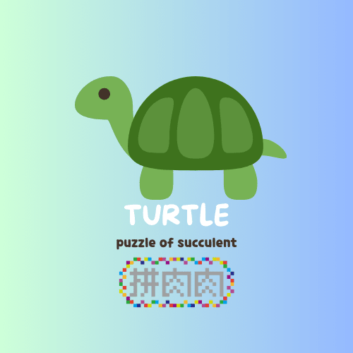 【肉肉動物園】吉祥龜鶴多肉植物盲盒 - 拼肉肉 Puzzle Of Succulent