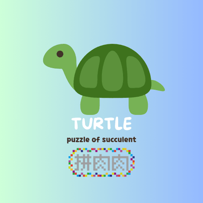 【肉肉動物園】吉祥龜鶴多肉植物盲盒 - 拼肉肉 Puzzle Of Succulent