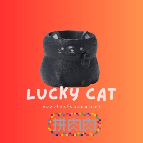 【肉肉動物園】招財貓咪多肉盲盒 - 拼肉肉 Puzzle Of Succulent