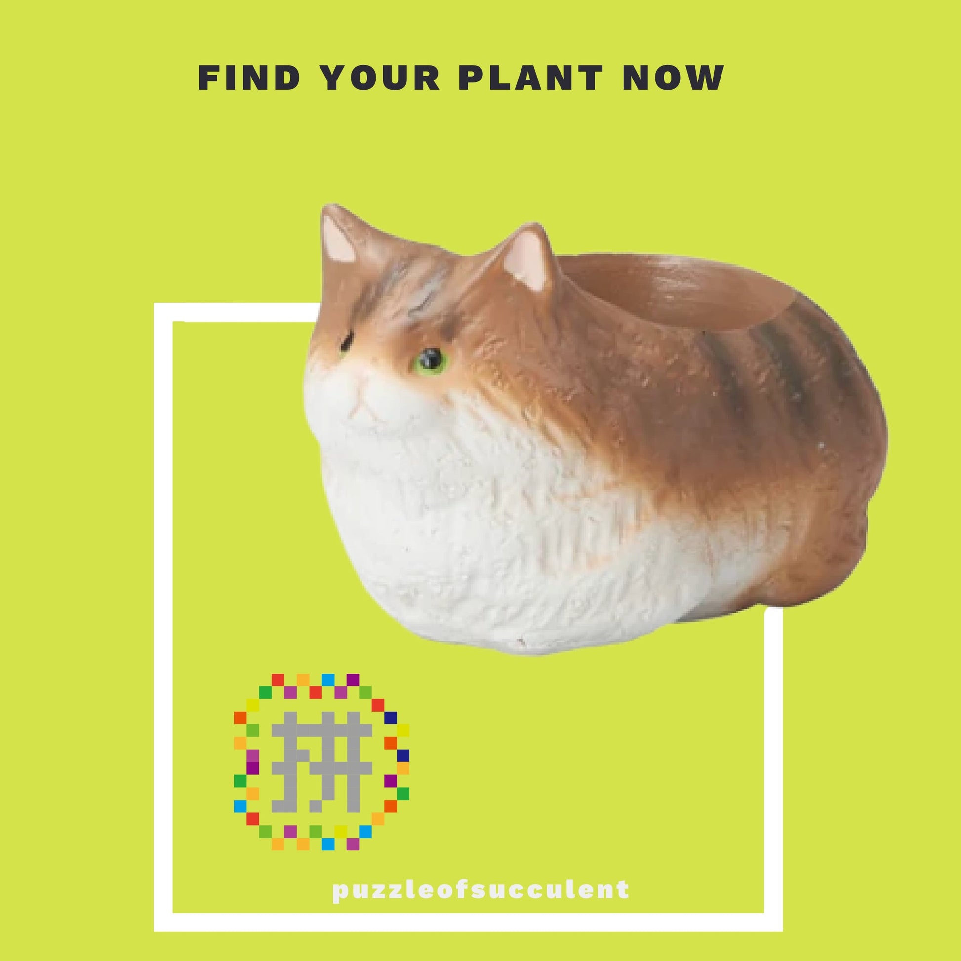 【肉肉大動物園】挪威森林多肉植物盲盒 - 拼肉肉 Puzzle Of Succulent