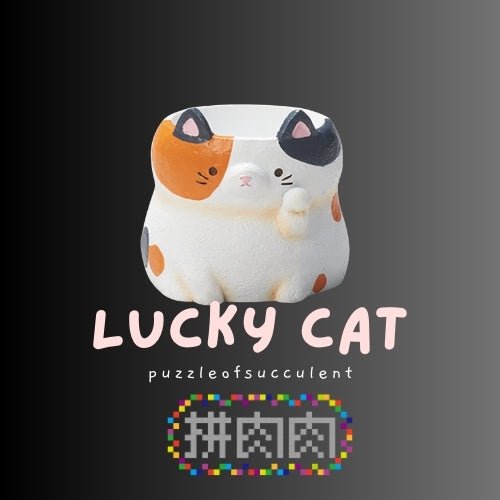 【肉肉動物園】招財貓咪多肉盲盒 - 拼肉肉 Puzzle Of Succulent