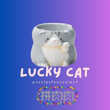 【肉肉動物園】招財貓咪多肉盲盒 - 拼肉肉 Puzzle Of Succulent