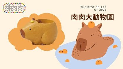 【肉肉大動物園】橘子水豚君創意多肉花器盲盒 - 拼肉肉 Puzzle Of Succulent