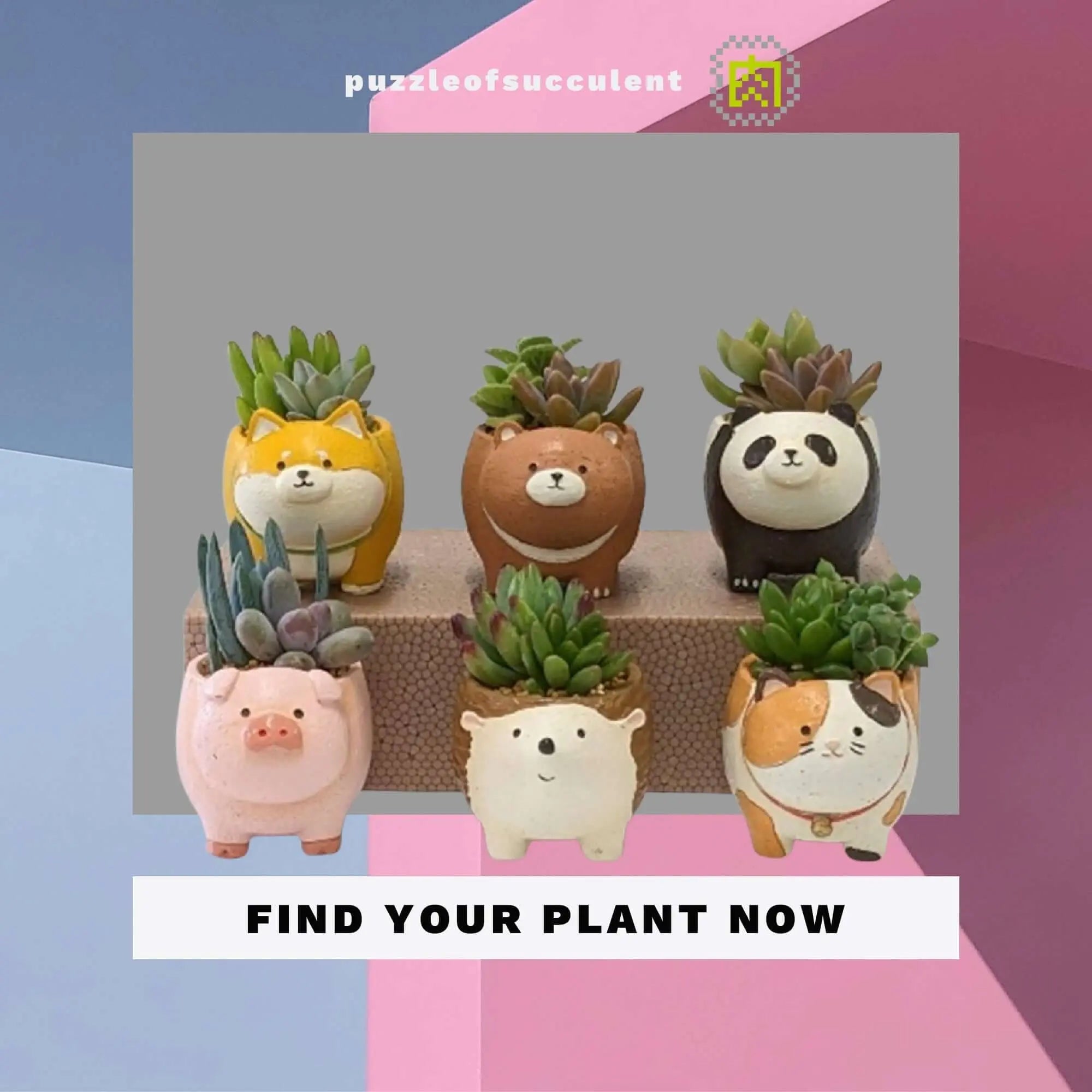 站得穩系列動物花器6入全套｜多肉動物園– 拼肉肉Puzzle Of Succulent