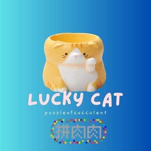 【肉肉動物園】招財貓咪多肉盲盒 - 拼肉肉 Puzzle Of Succulent