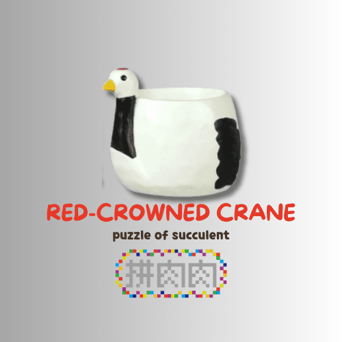 【肉肉動物園】吉祥龜鶴多肉植物盲盒 - 拼肉肉 Puzzle Of Succulent