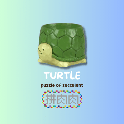 【肉肉動物園】吉祥龜鶴多肉植物盲盒 - 拼肉肉 Puzzle Of Succulent