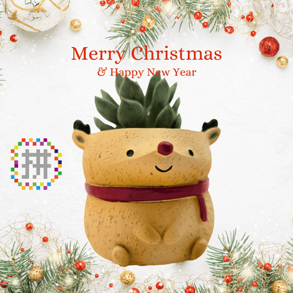【拼肉肉聖誕限定】聖誕夢幻隊！聖誕老人、麋鹿單次下單區 - 拼肉肉 Puzzle Of Succulent