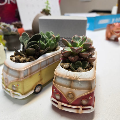 【肉肉玩具箱】復古旅行車多肉盲盒X2