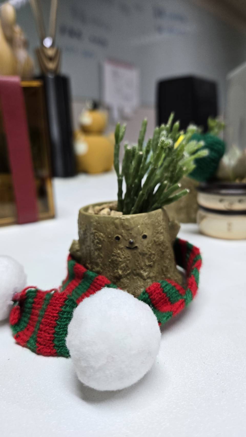 【拼肉肉聖誕限定】多肉植物樹樁盲盒組合 (聖誕小物圍巾版)