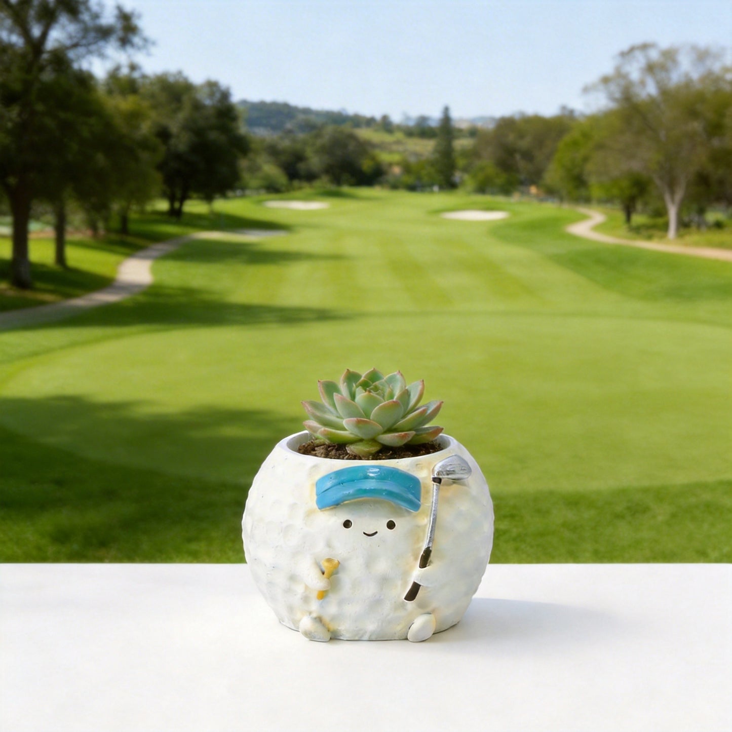 【肉肉運動場】高爾夫主題多肉盲盒