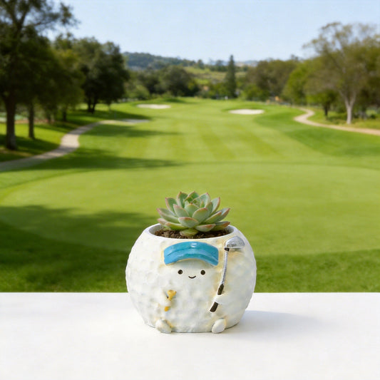【肉肉運動場】高爾夫主題多肉盲盒