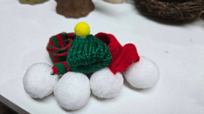 【拼肉肉聖誕限定】多肉植物樹樁盲盒組合 (聖誕小物圍巾版)