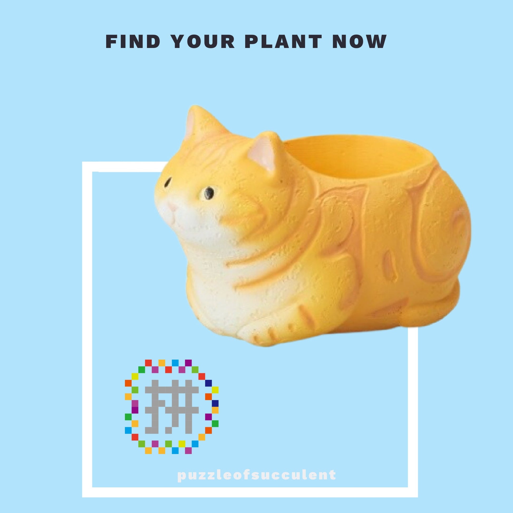 【肉肉大動物園】貓咪多肉創意花盆盲盒隨機出貨X1 - 拼肉肉 Puzzle Of Succulent