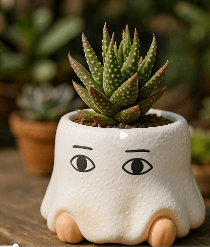 【肉肉玩具箱】 古埃及守護神「梅傑德」多肉盲盒X1 - 拼肉肉 Puzzle Of Succulent