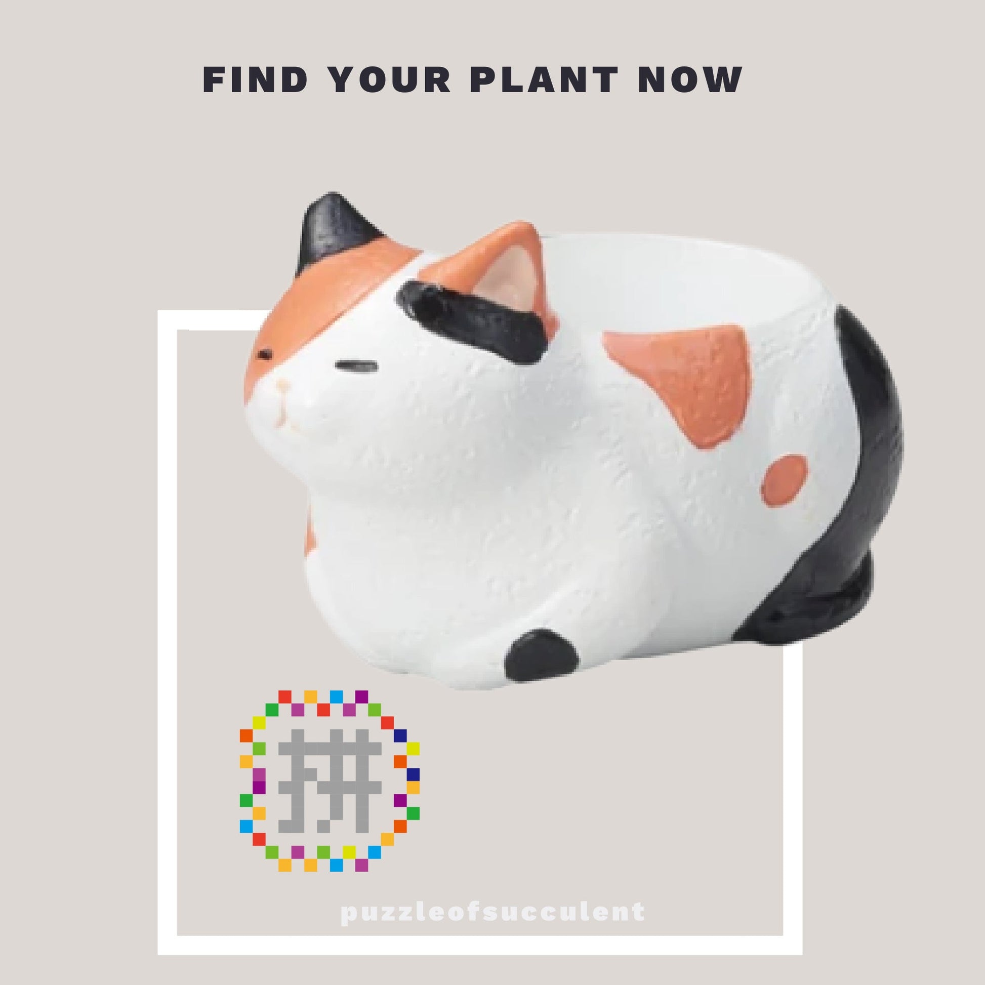 【肉肉大動物園】貓咪多肉創意花盆盲盒隨機出貨X1 - 拼肉肉 Puzzle Of Succulent