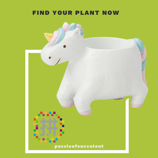【肉肉大動物園】獨角獸創意多肉花器X1 - 拼肉肉 Puzzle Of Succulent