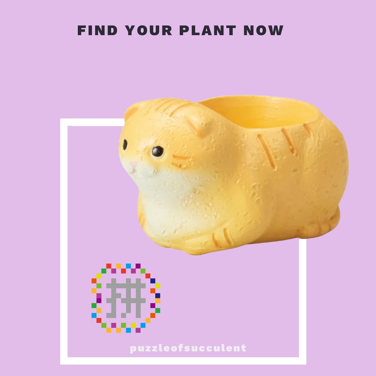 【肉肉大動物園】貓咪多肉創意花盆盲盒隨機出貨X1 - 拼肉肉 Puzzle Of Succulent