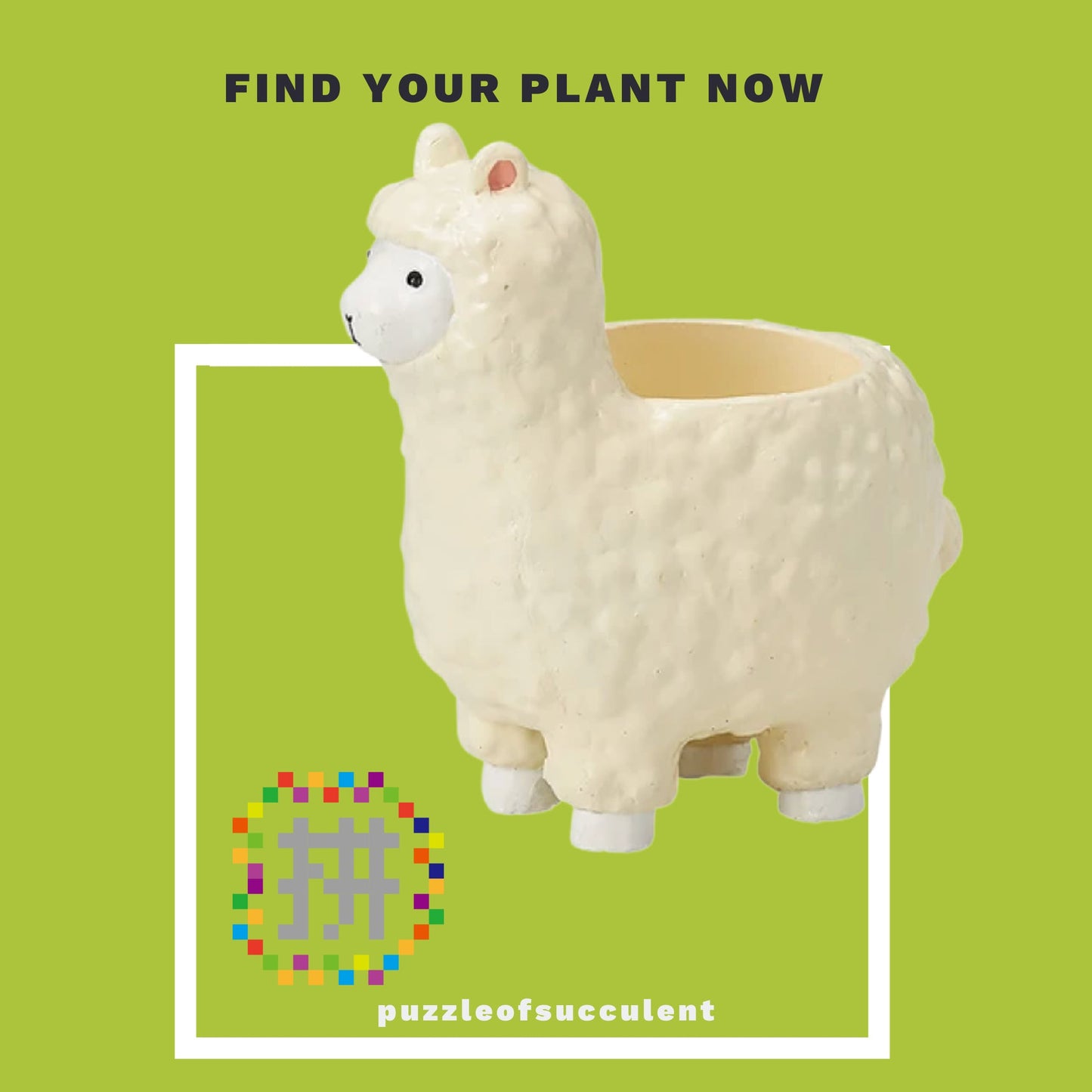 【肉肉大動物園】羊駝創意多肉花器，植物盲盒X1 - 拼肉肉 Puzzle Of Succulent