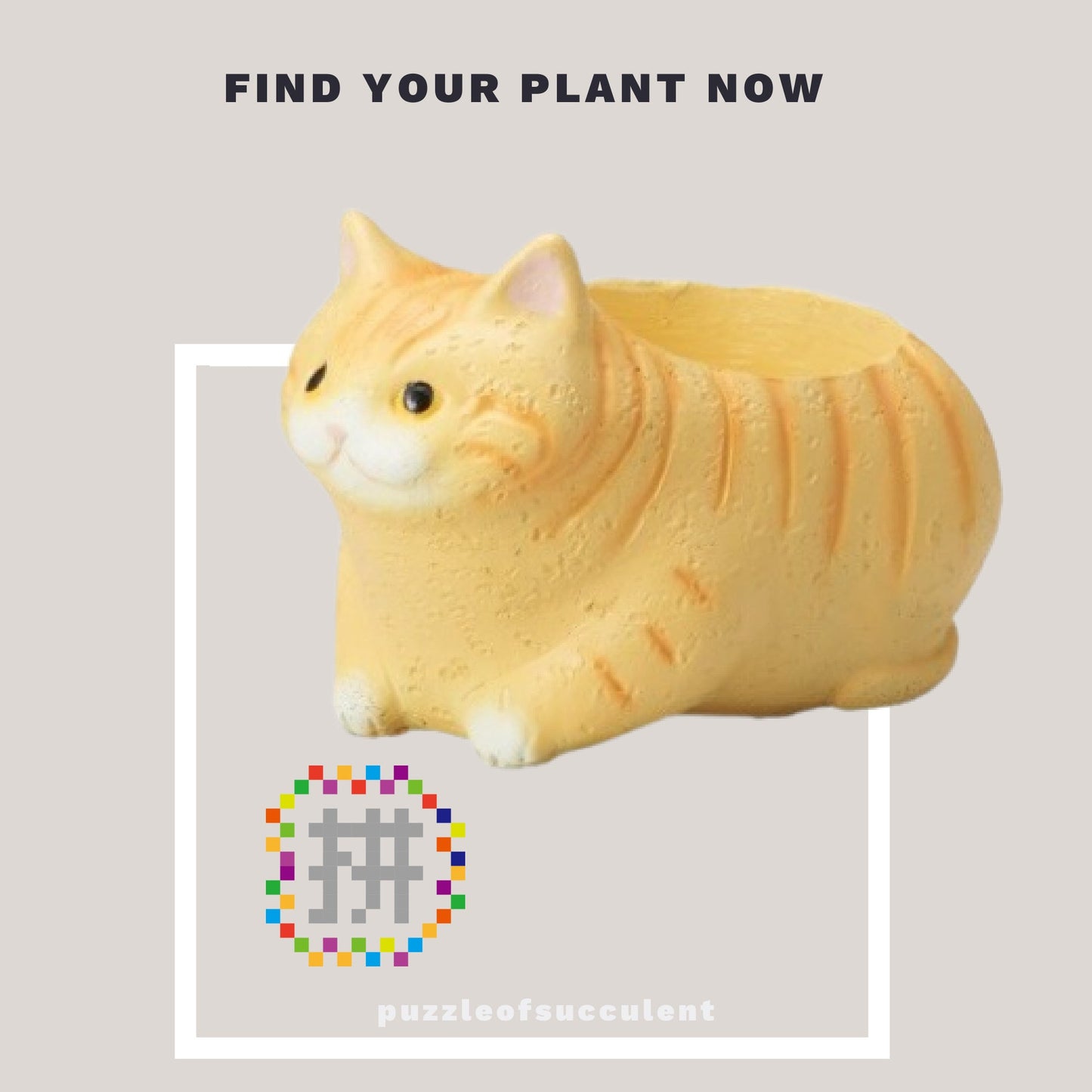 【肉肉大動物園】貓咪多肉創意花盆盲盒隨機出貨X1 - 拼肉肉 Puzzle Of Succulent