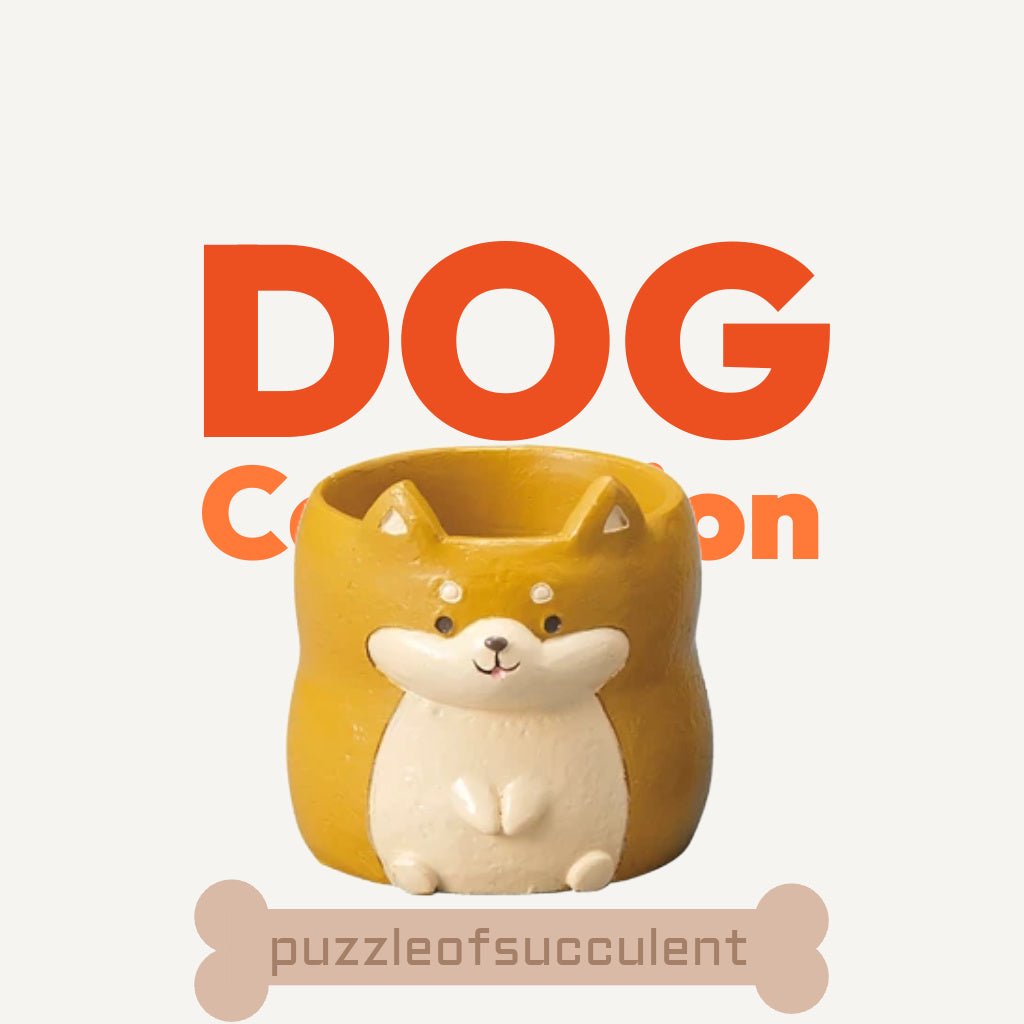 【肉肉動物園】 - 日本進口柴犬多肉植物盲盒X2 每色各1 - 拼肉肉 Puzzle Of Succulent