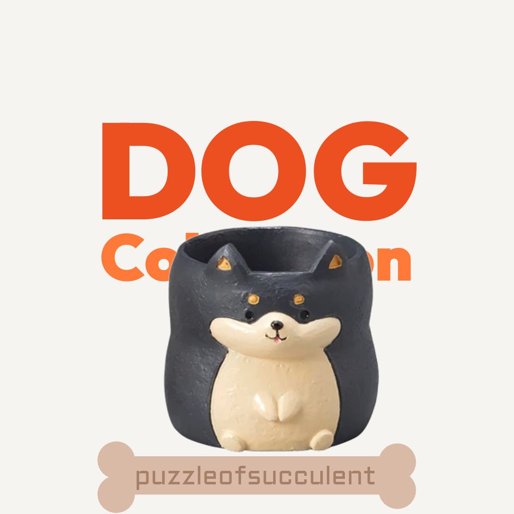 【肉肉動物園】 - 日本進口柴犬多肉植物盲盒X2 每色各1 - 拼肉肉 Puzzle Of Succulent