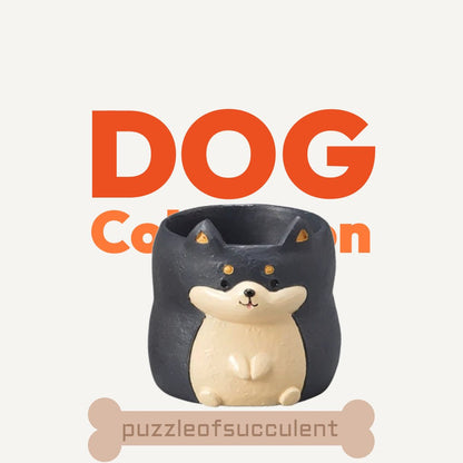 【肉肉動物園】 - 日本進口柴犬多肉植物盲盒X2 每色各1 - 拼肉肉 Puzzle Of Succulent