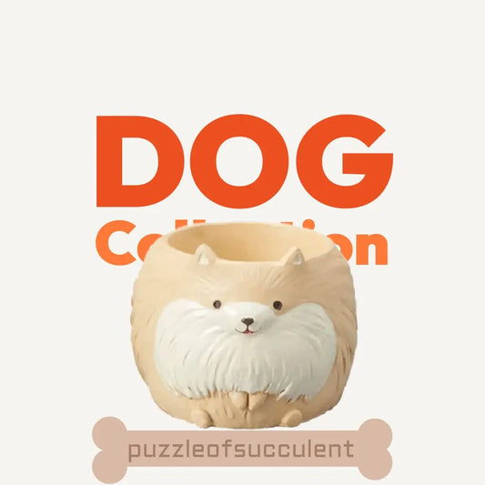 【肉肉動物園】雙色博美犬多肉植物盲盒X2 - 拼肉肉 Puzzle Of Succulent