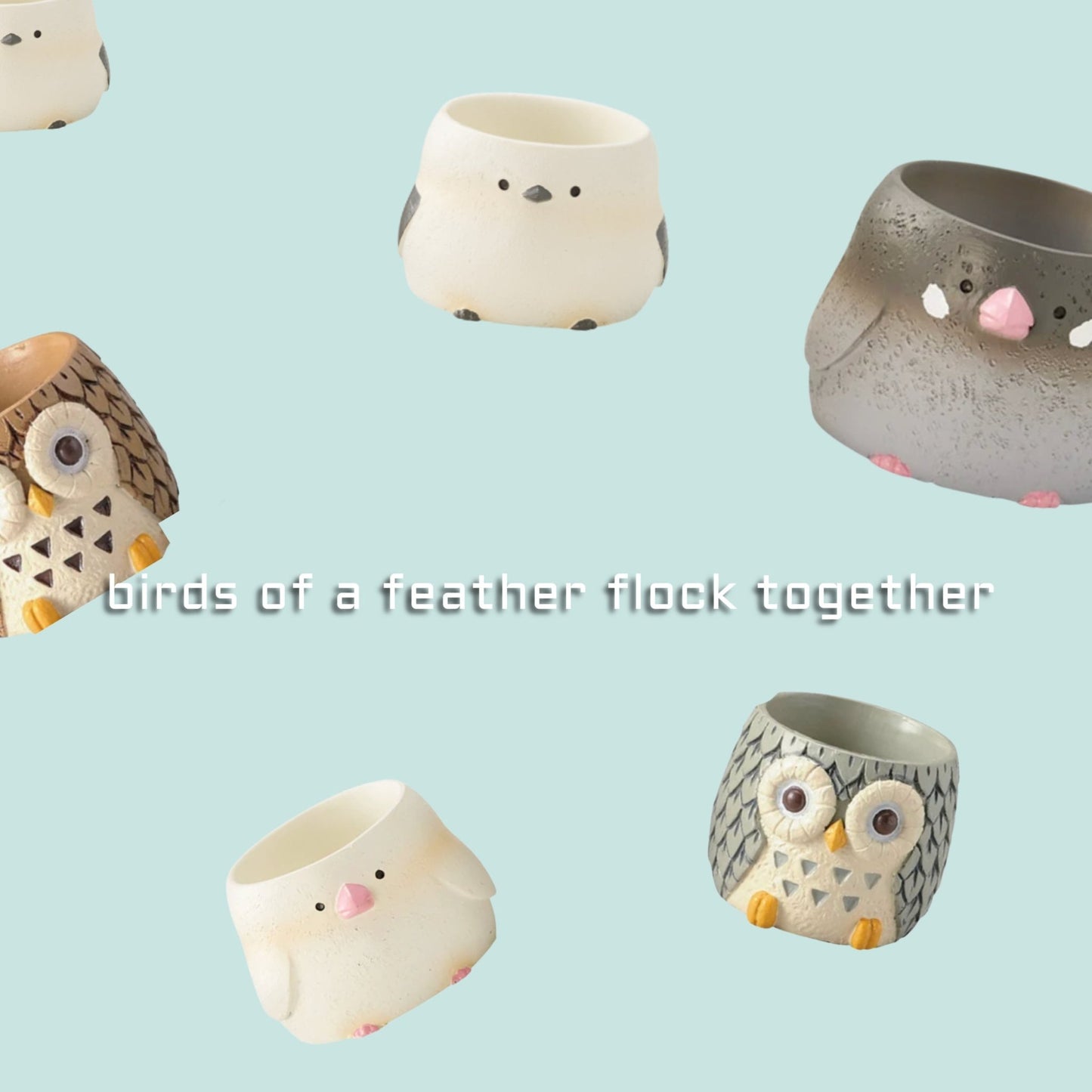 【肉肉動物園】 - 日本進口雙色文鳥多肉植物盲盒X2 - 拼肉肉 Puzzle Of Succulent