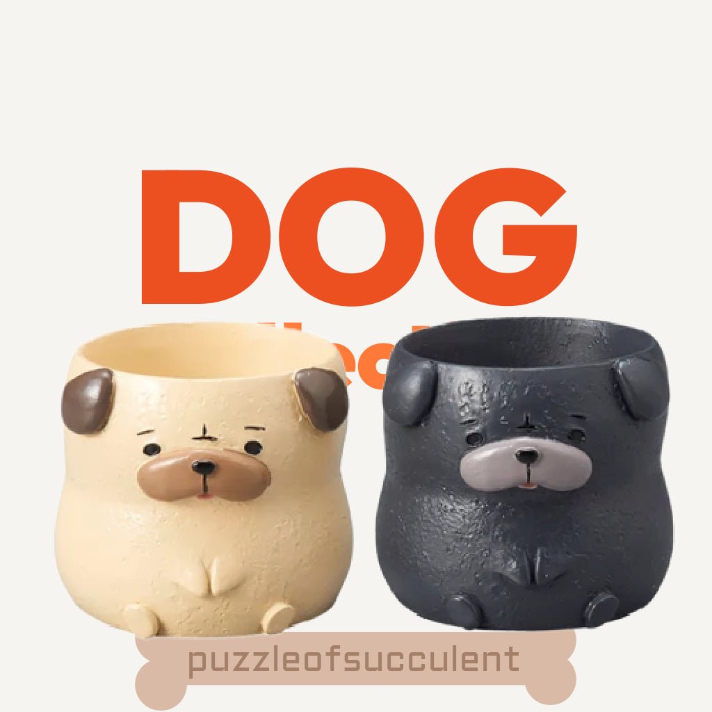 【肉肉動物園】 - 日本進口哈巴狗植物盲盒X2 - 拼肉肉 Puzzle Of Succulent