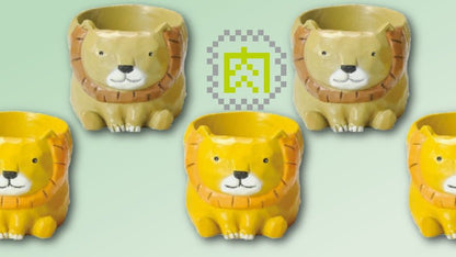 【肉肉動物園】 - 叢林之王獅子多肉植物盲盒X2 - 拼肉肉 Puzzle Of Succulent