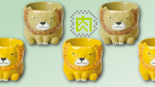 【肉肉動物園】 - 叢林之王獅子多肉植物盲盒X2 - 拼肉肉 Puzzle Of Succulent