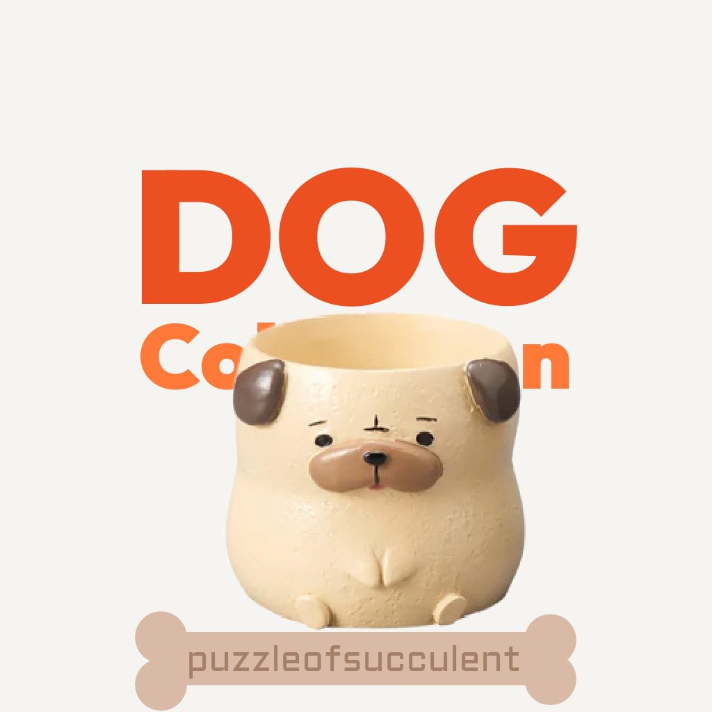 【肉肉動物園】哈巴狗雙色多肉盲盒X2 - 拼肉肉 Puzzle Of Succulent