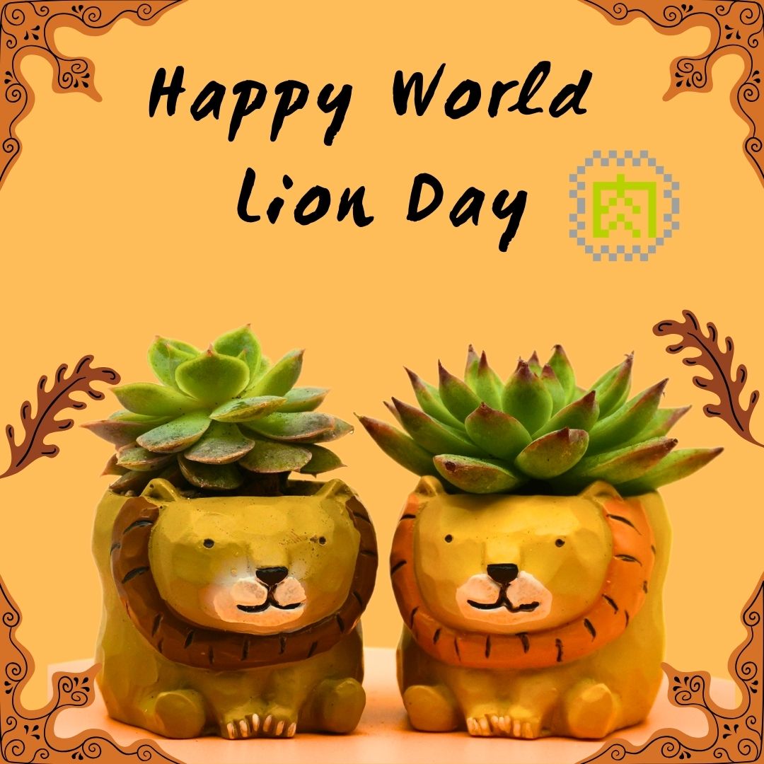 【肉肉動物園】 - 叢林之王獅子多肉植物盲盒X2 - 拼肉肉 Puzzle Of Succulent