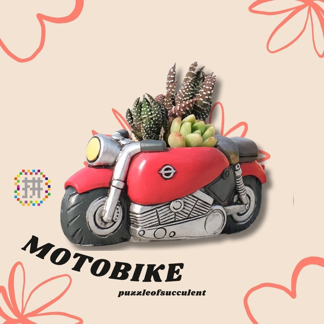 【肉肉玩具箱】復古摩托車多肉盲盒X2 - 拼肉肉 Puzzle Of Succulent