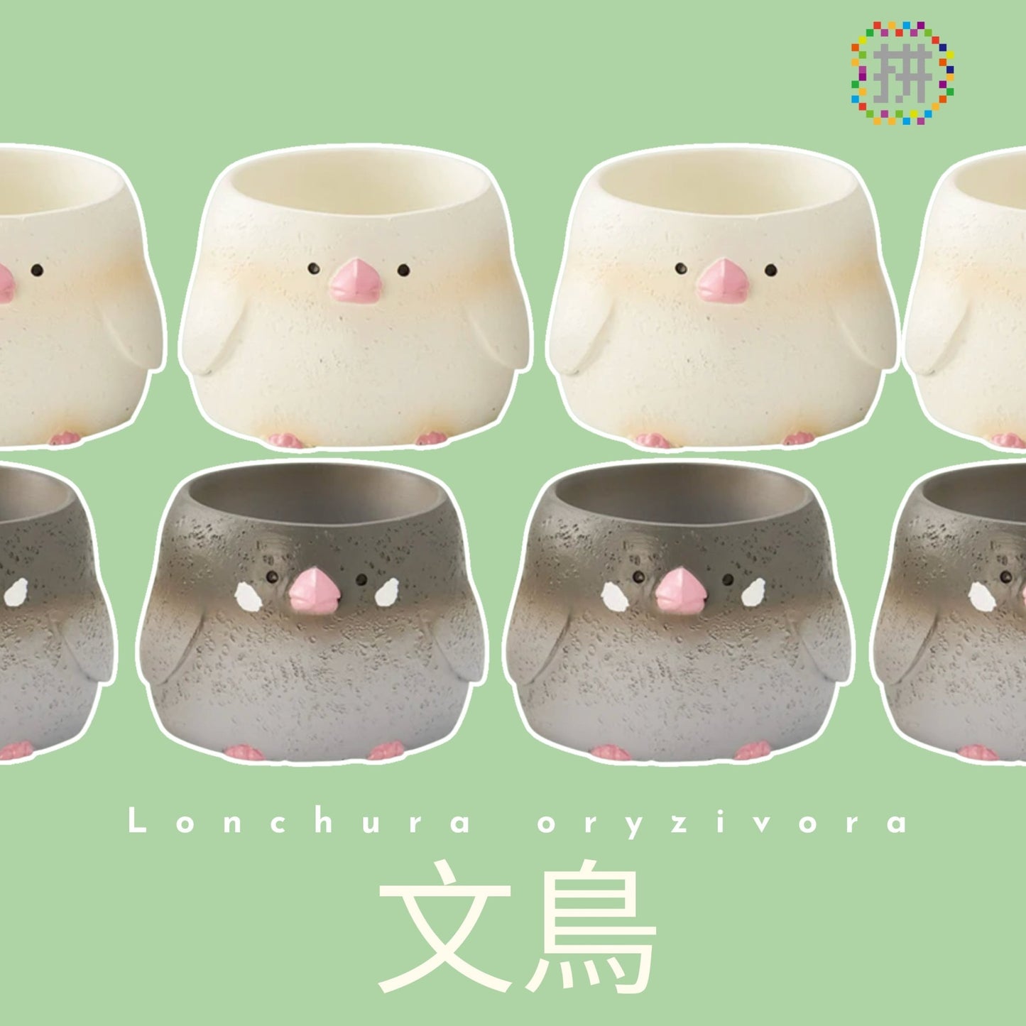 【肉肉動物園】 - 日本進口雙色文鳥多肉植物盲盒X2 - 拼肉肉 Puzzle Of Succulent