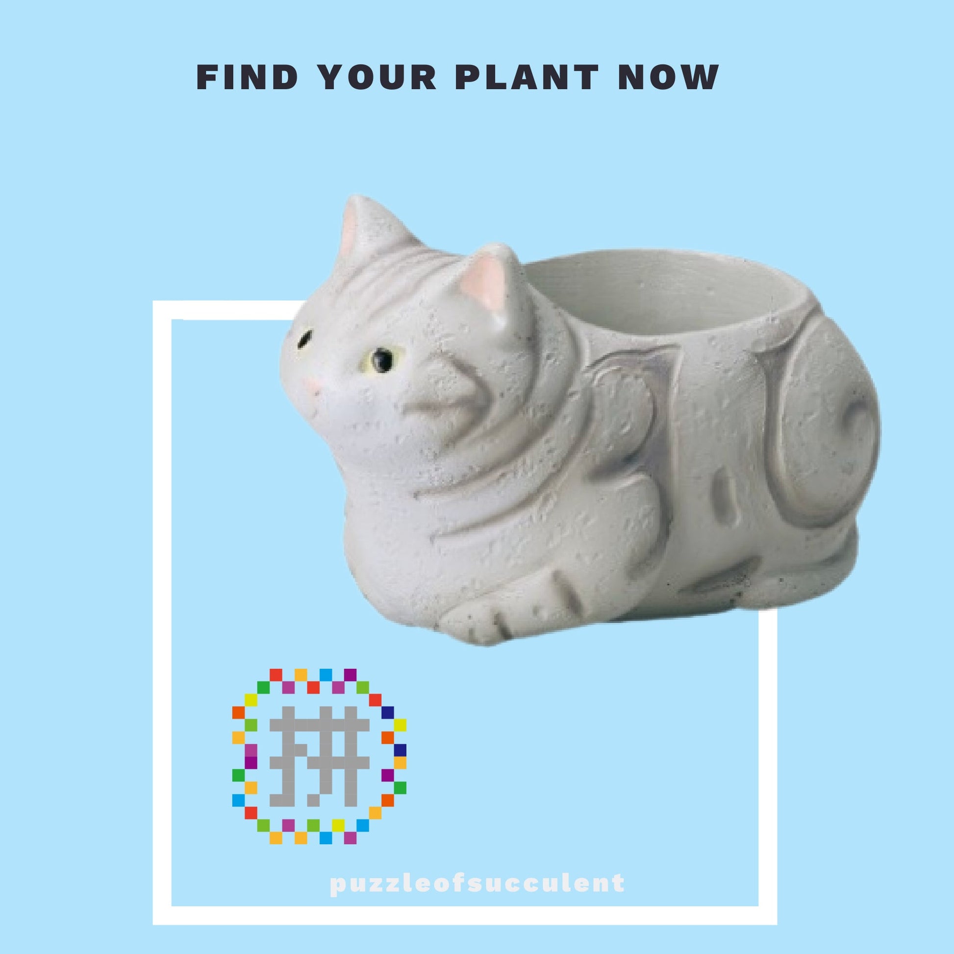 【肉肉大動物園】貓咪創意粉紅肉掌多肉花器，植物盲盒X2 - 拼肉肉 Puzzle Of Succulent