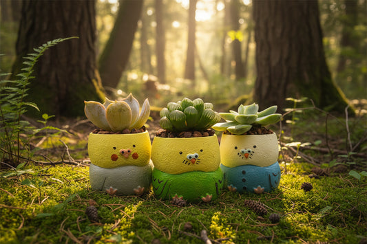 【肉肉動物園】 - 日本鸚鵡多肉植物盲盒X3 每色各1 - 拼肉肉 Puzzle Of Succulent